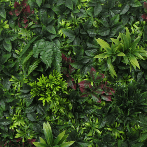 Tropical - Imagen 2