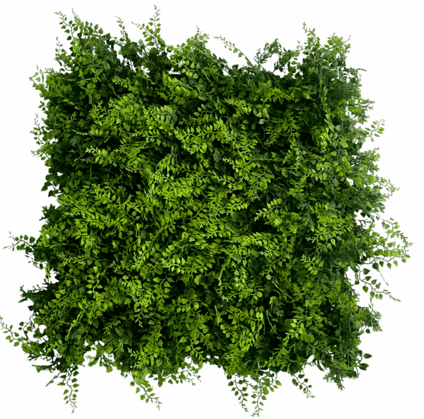Enredado
