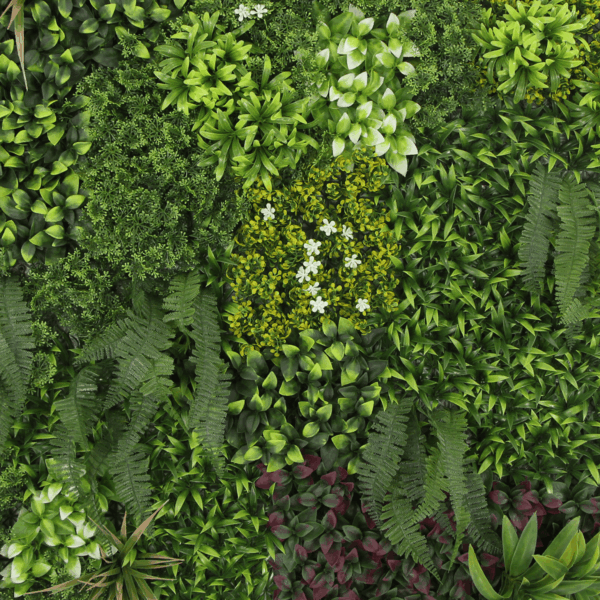 Exotic - Imagen 2