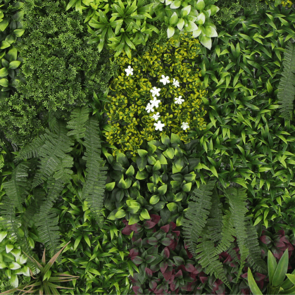 Exotic - Imagen 2
